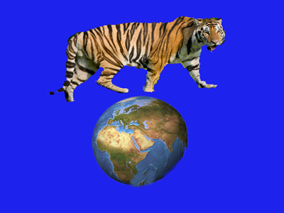 ztiger